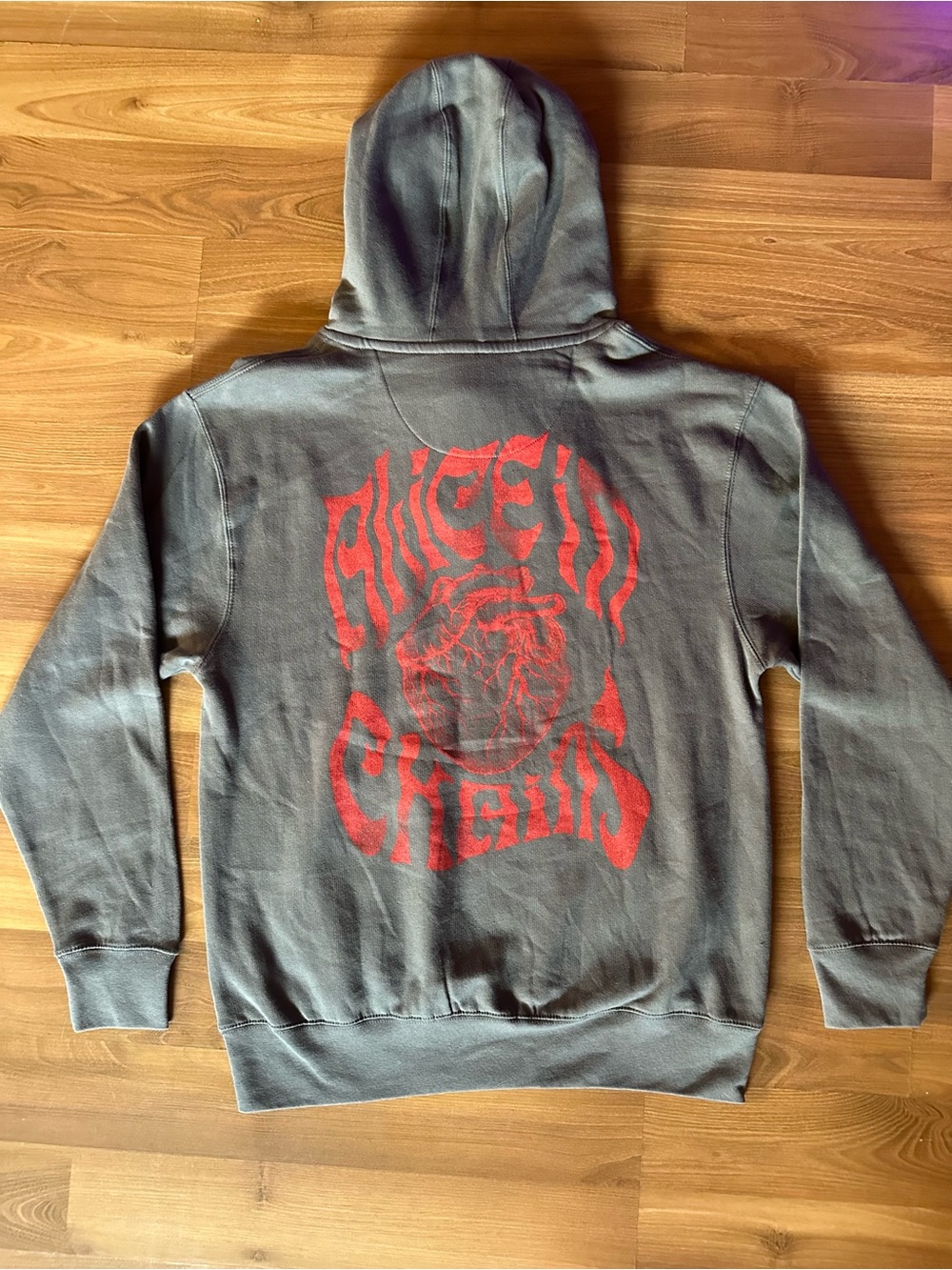 Alice In Chains Anatomical Heart Hot Topic Gray Hoodie Unisex